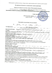 Экспертное заключение/СЭЗ